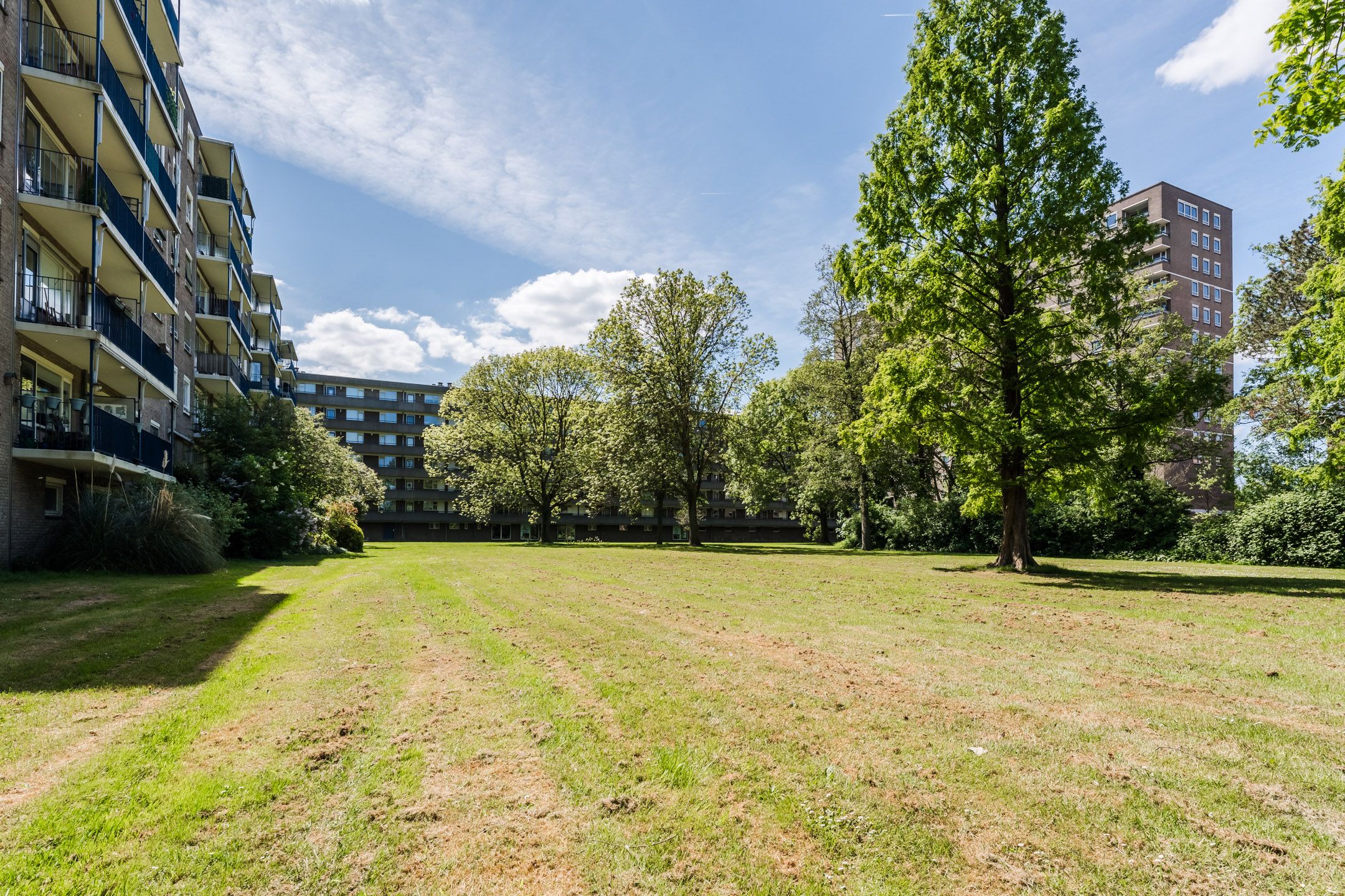 Photo 30 of Aert van Neslaan 406