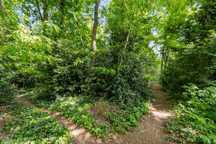 Foto 22 van Comeniushof 98