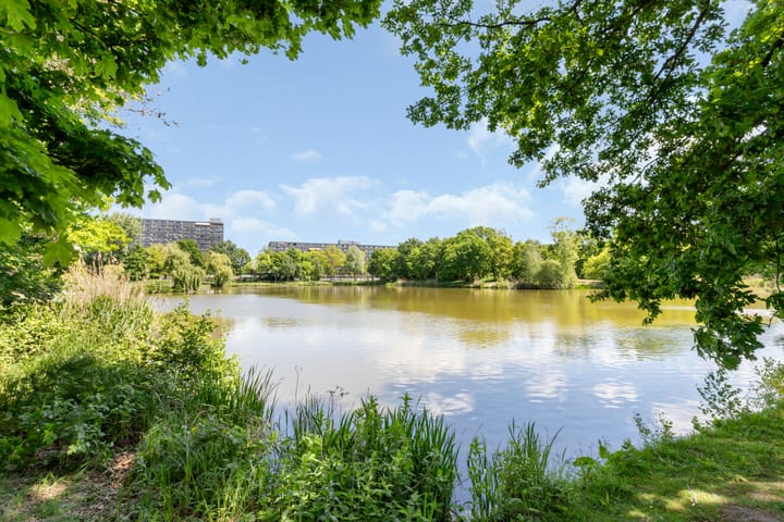 Foto 23 van Comeniushof 98