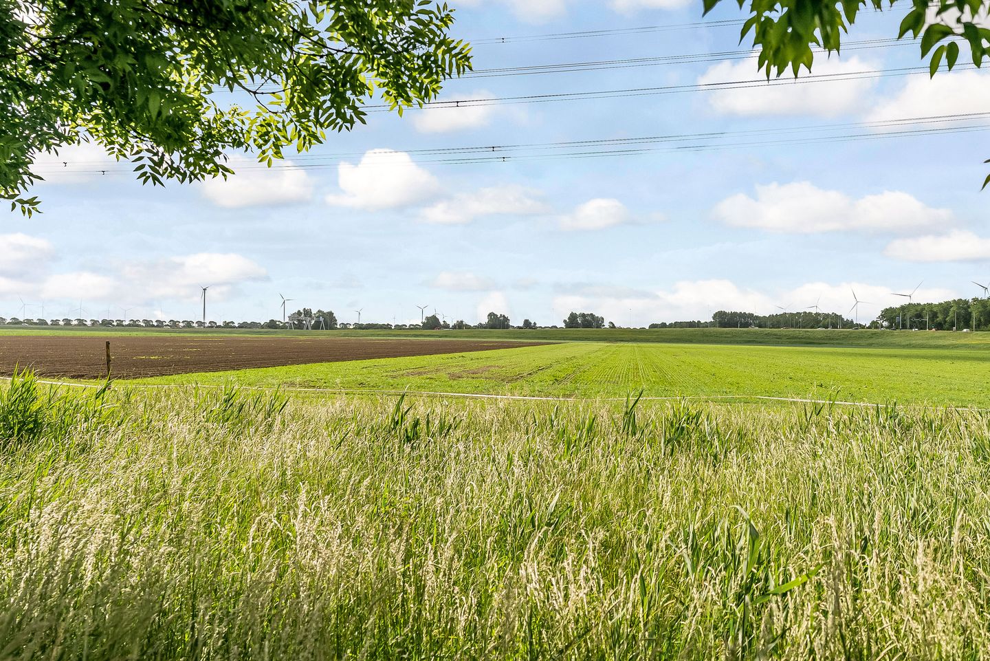 Foto 40 van Puerto Ricostraat 69