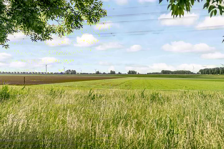 Foto 40 van Puerto Ricostraat 69