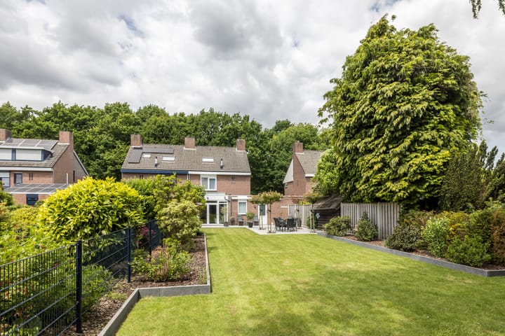 Photo 3 of Zwarte Graaf 50