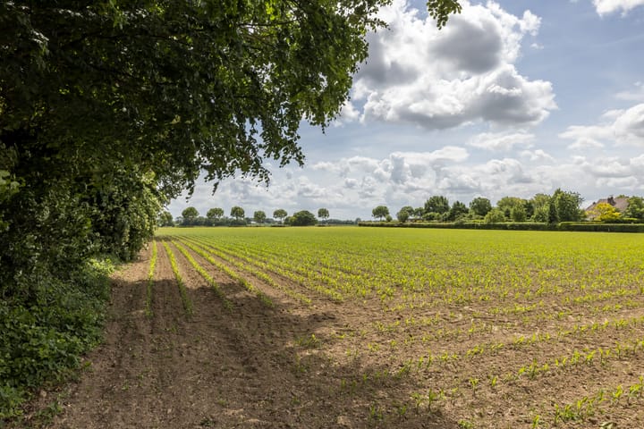 Photo 45 of Zwarte Graaf 50