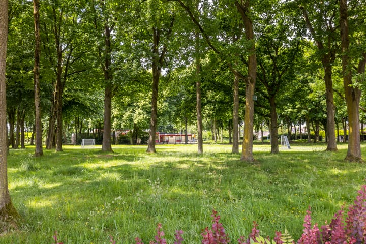 Photo 50 of Zwarte Graaf 50