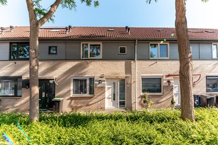 undefined main image