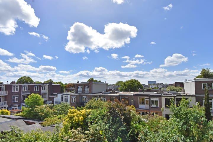 Foto 21 van Caan van Necklaan 136-B