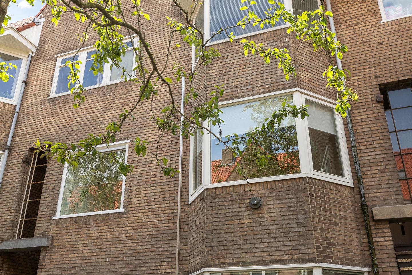 Foto 25 van Ambonstraat 22-A