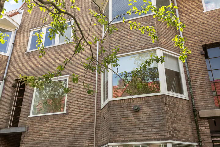 Foto 25 van Ambonstraat 22-A