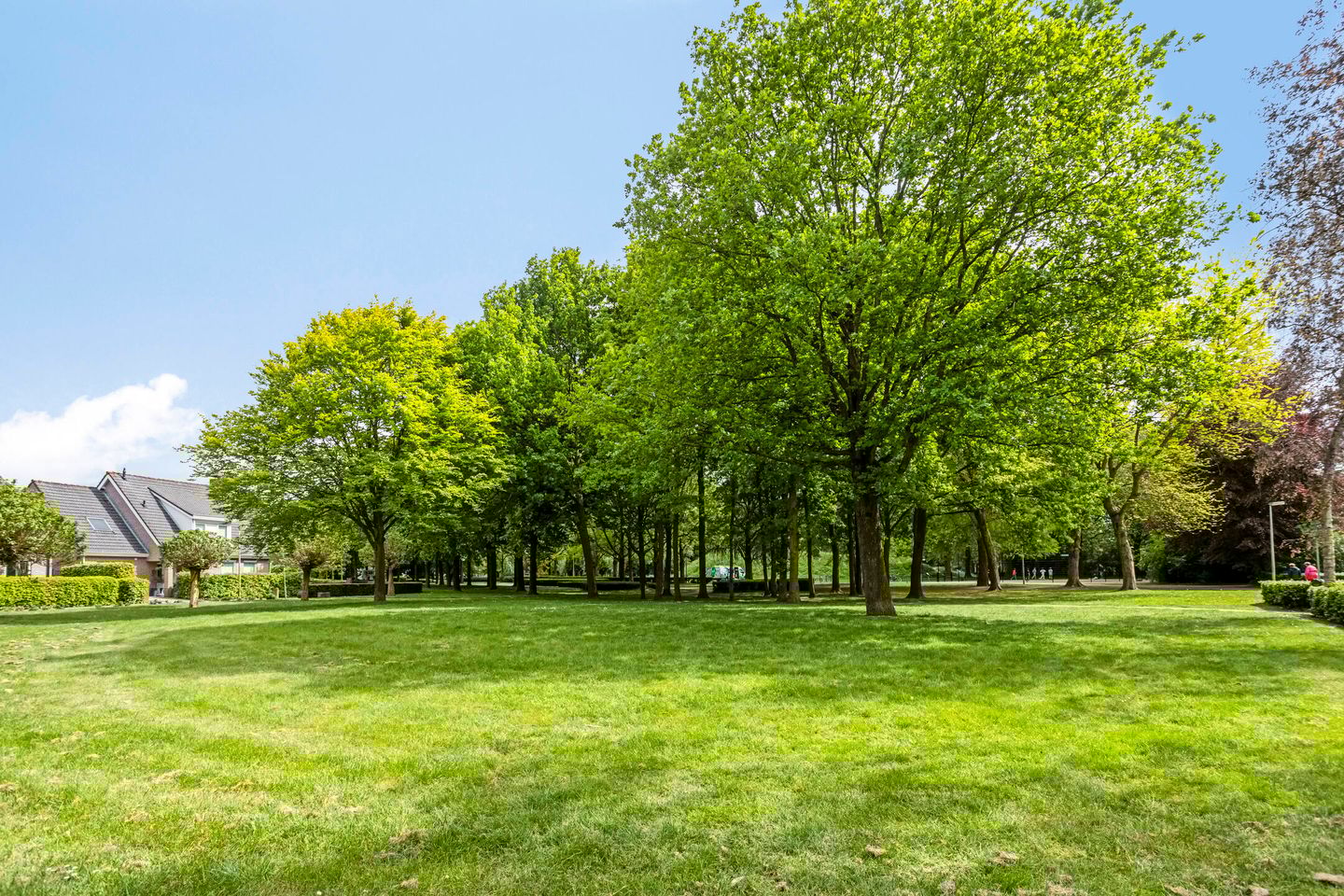 Foto 34 van Thailandring 14