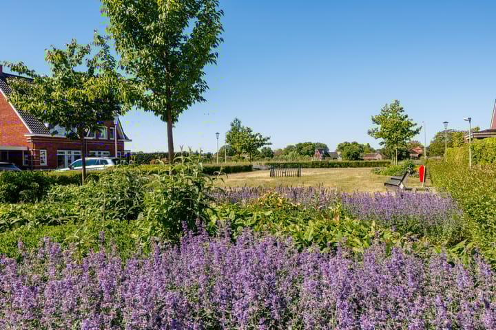 Foto 41 van Glauconiet 14