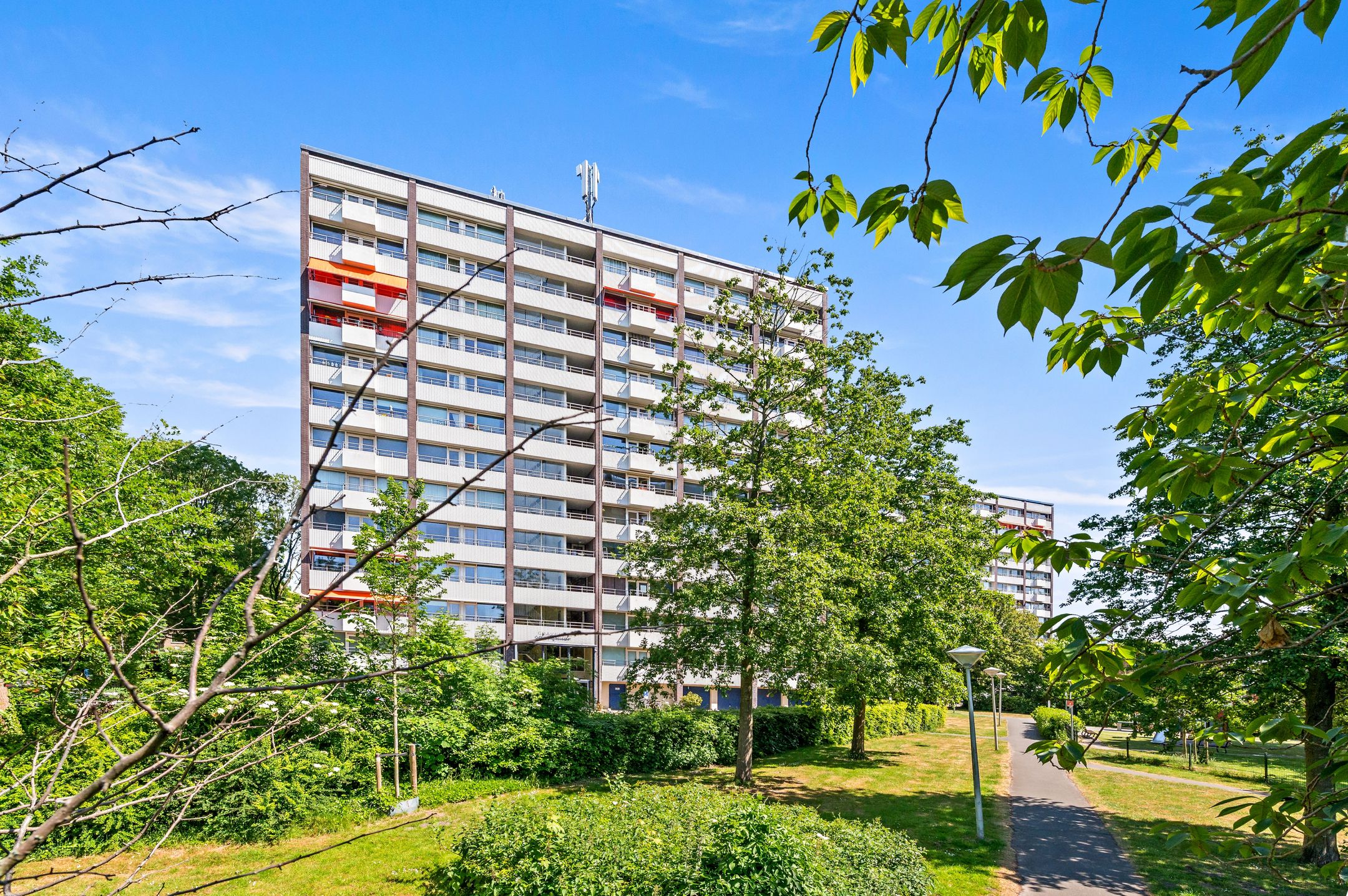 Photo 3 of Roggekamp 267