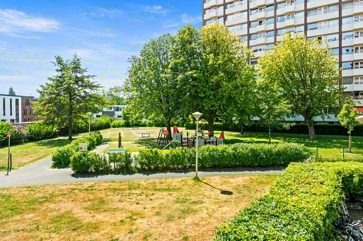 Foto 26 van Roggekamp 267