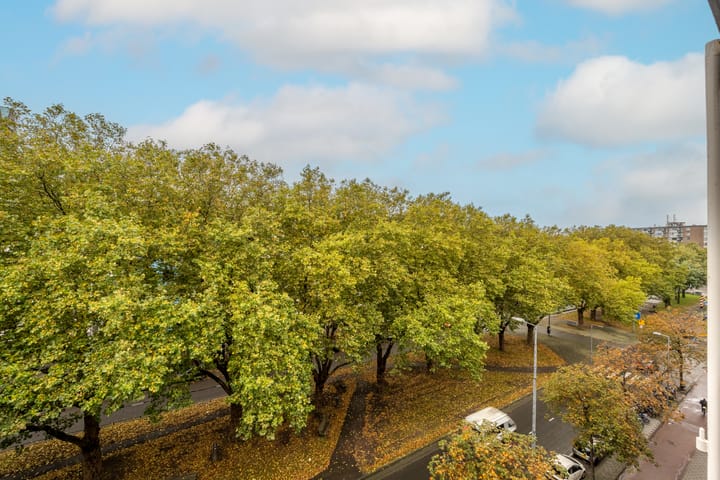 Foto 13 van Mariniersweg 72-E