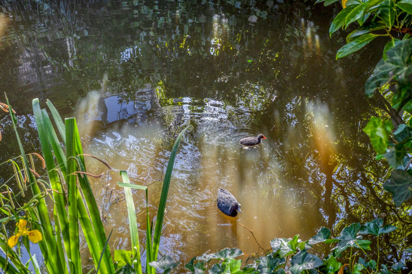 Foto 34 van J.M. den Uylstraat 20