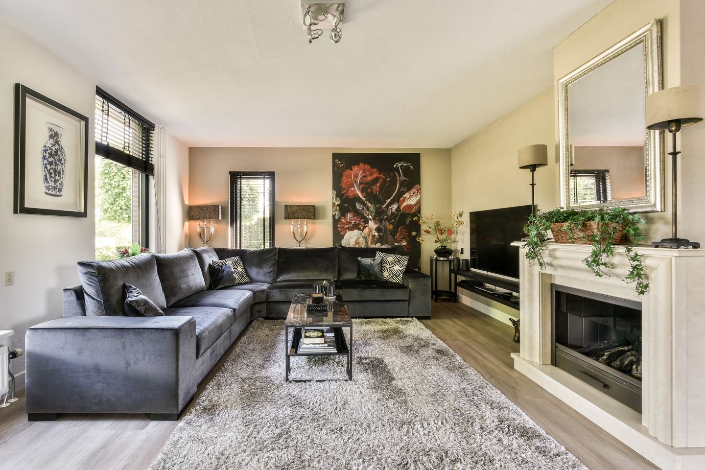 Foto 4 van Meije 101