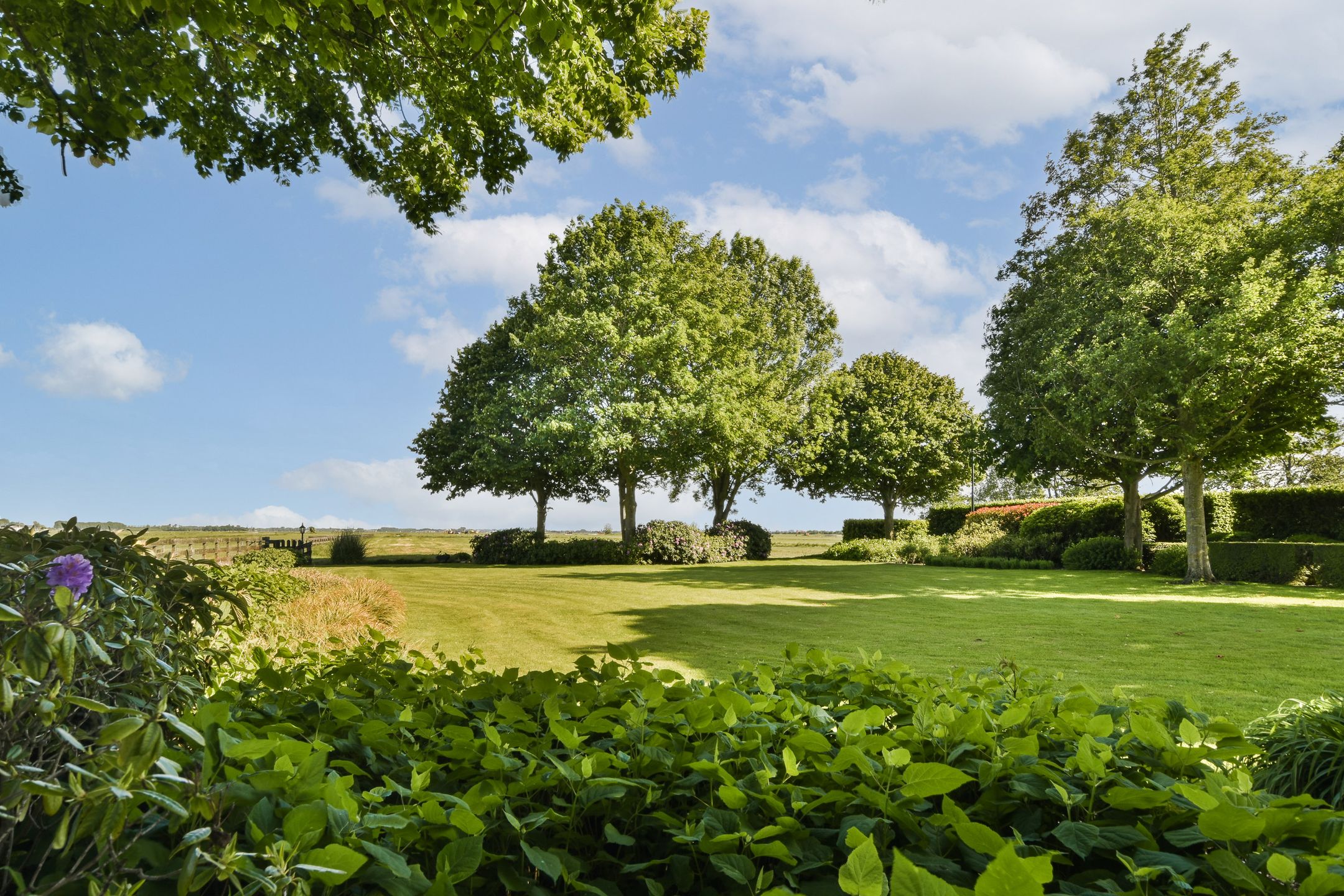 Foto 15 van Meije 101