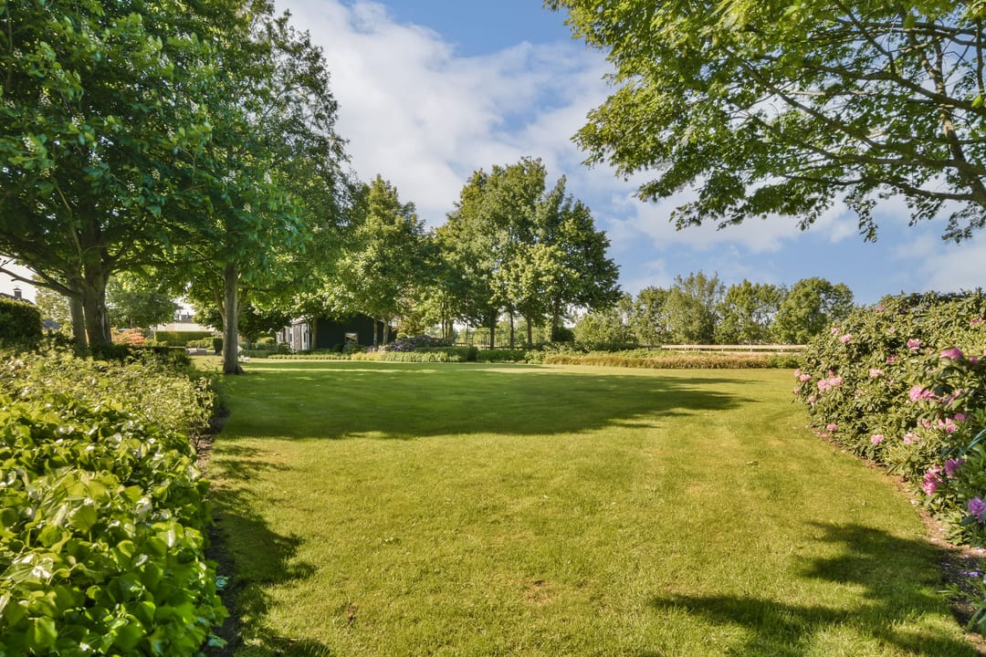 Foto 16 van Meije 101