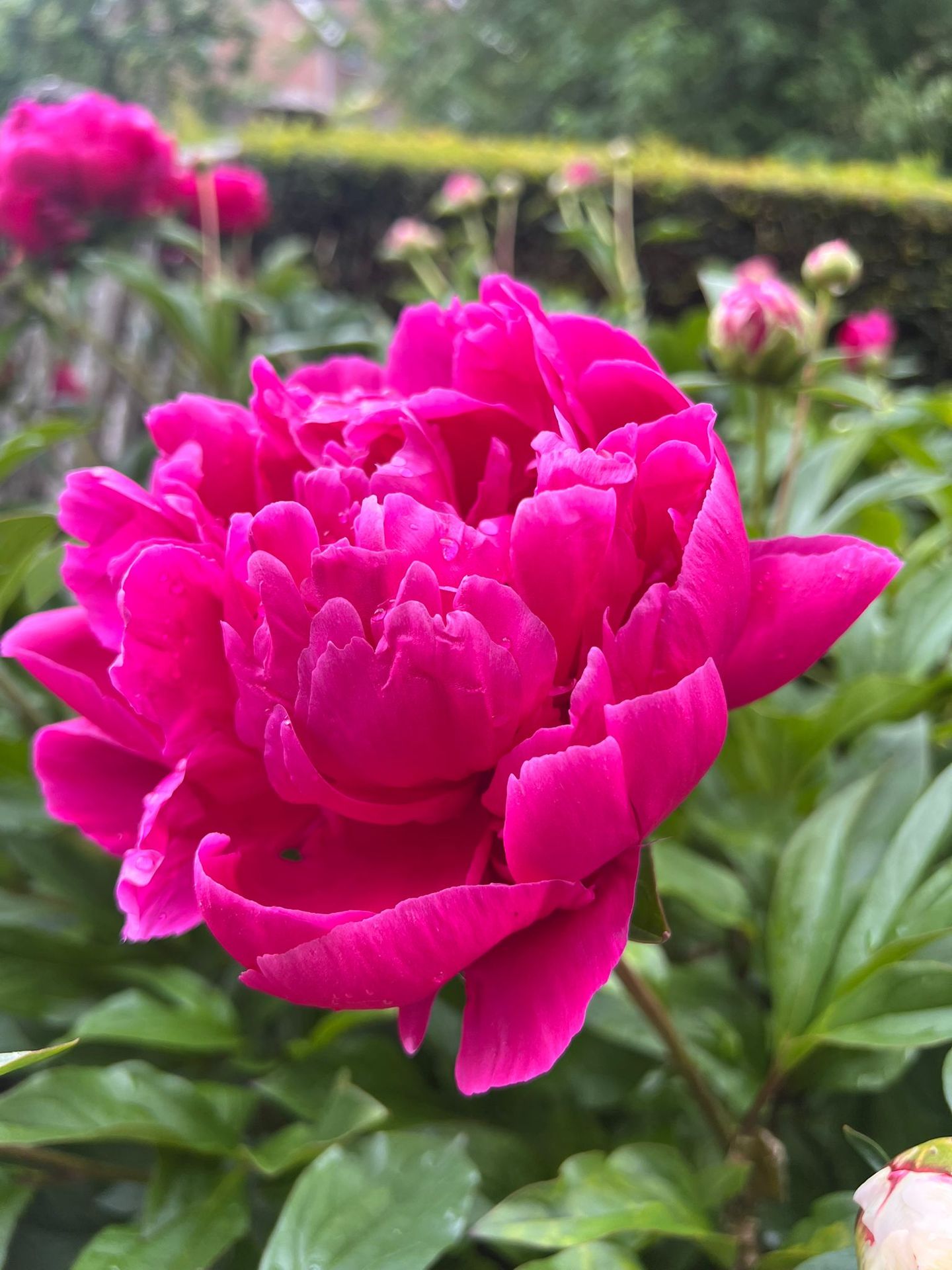 Foto 29 van Meije 101