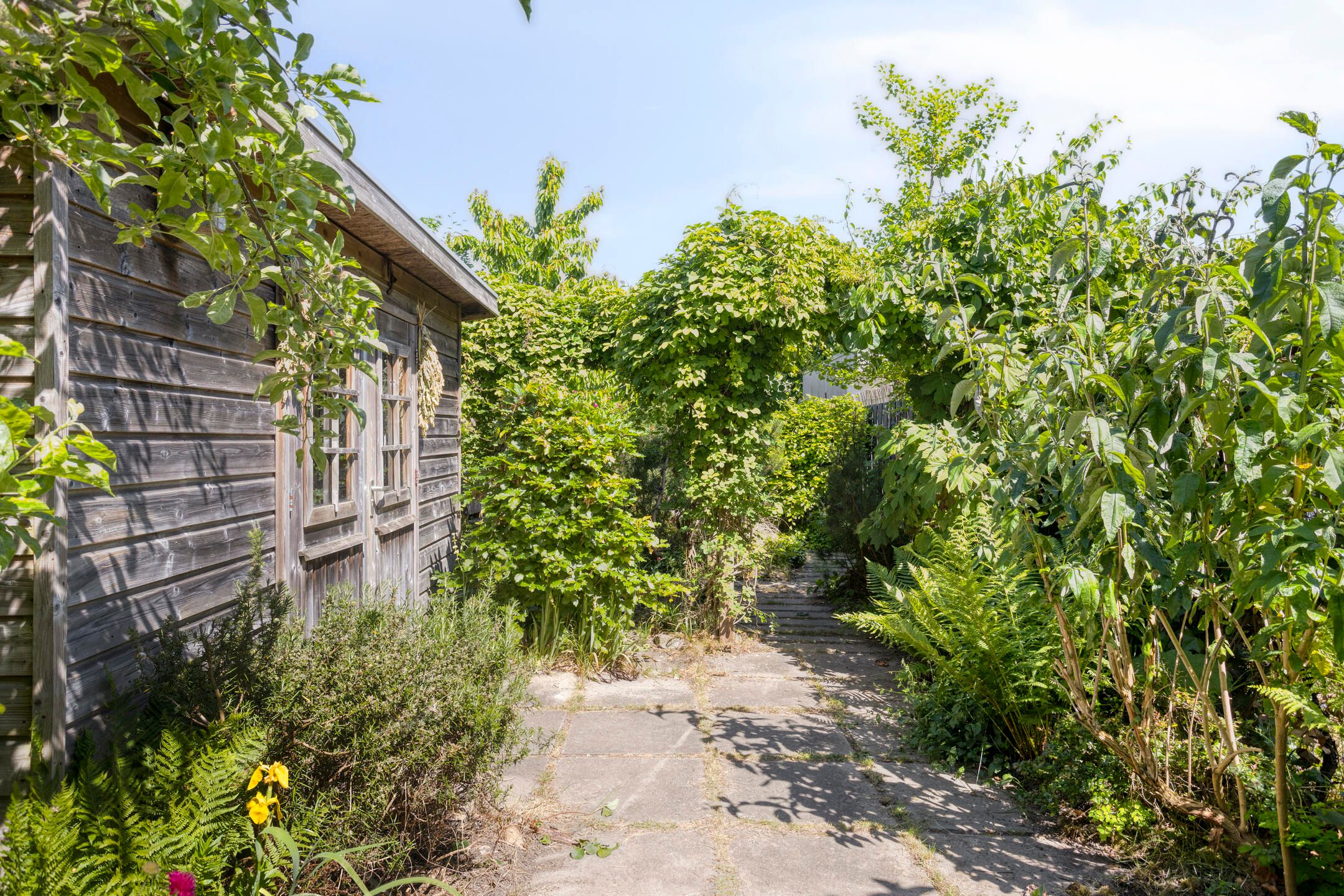 Photo 36 of Alphons Sieberspad 28