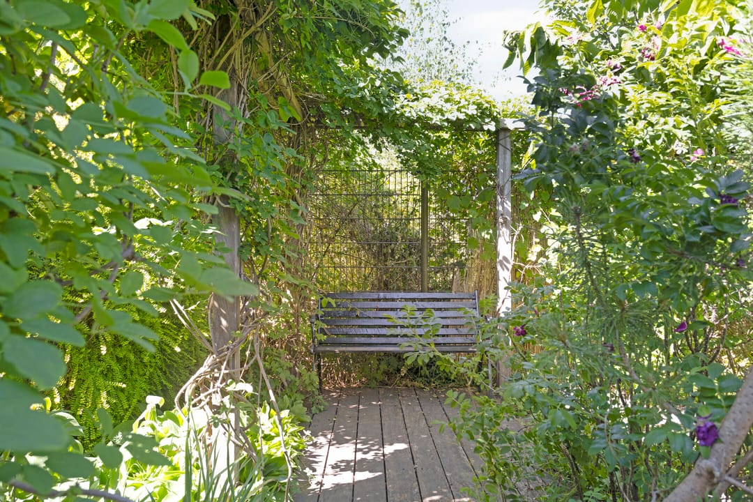 Photo 38 of Alphons Sieberspad 28