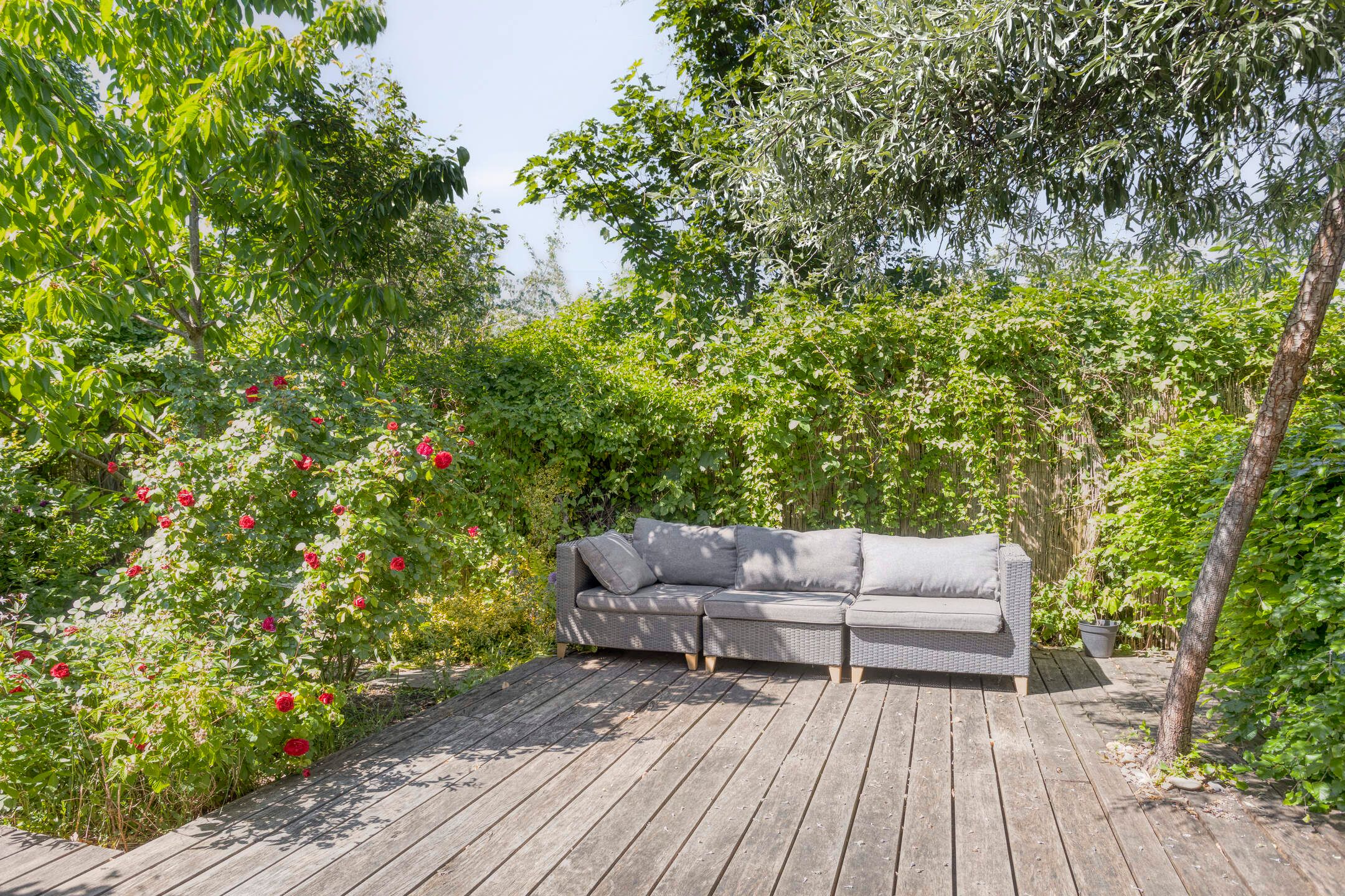 Photo 39 of Alphons Sieberspad 28