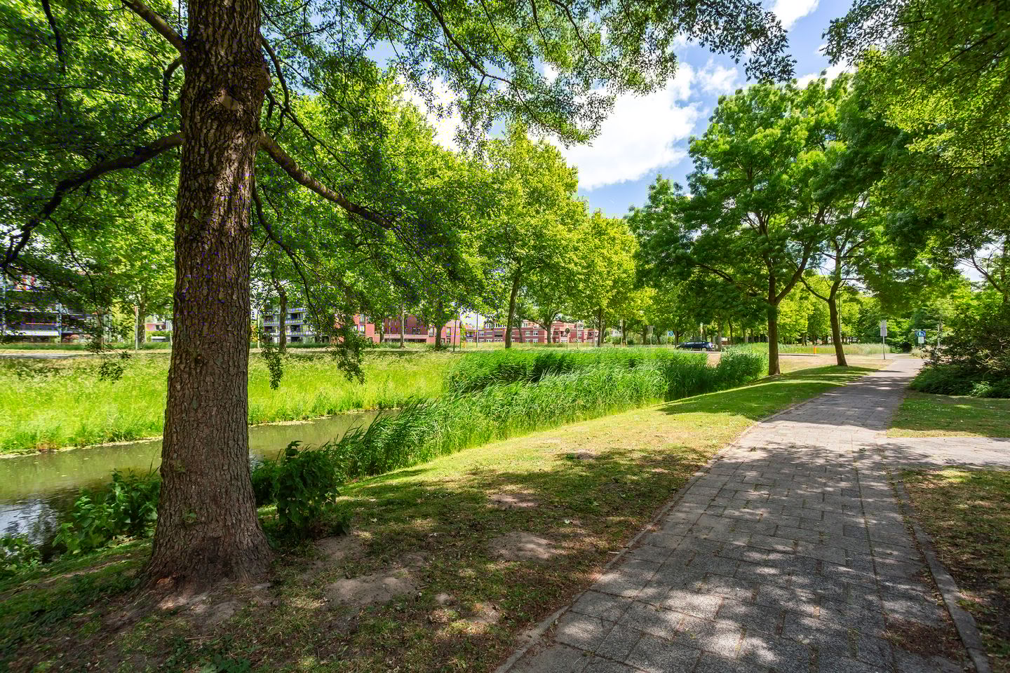 Photo 34 of Athenastraat 5