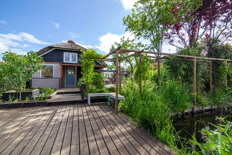 undefined main image