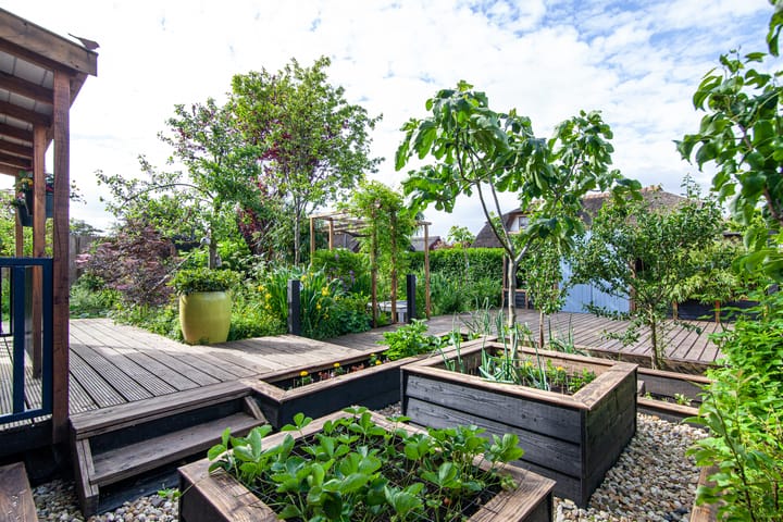 Foto 2 van Oosteinde 11-H136