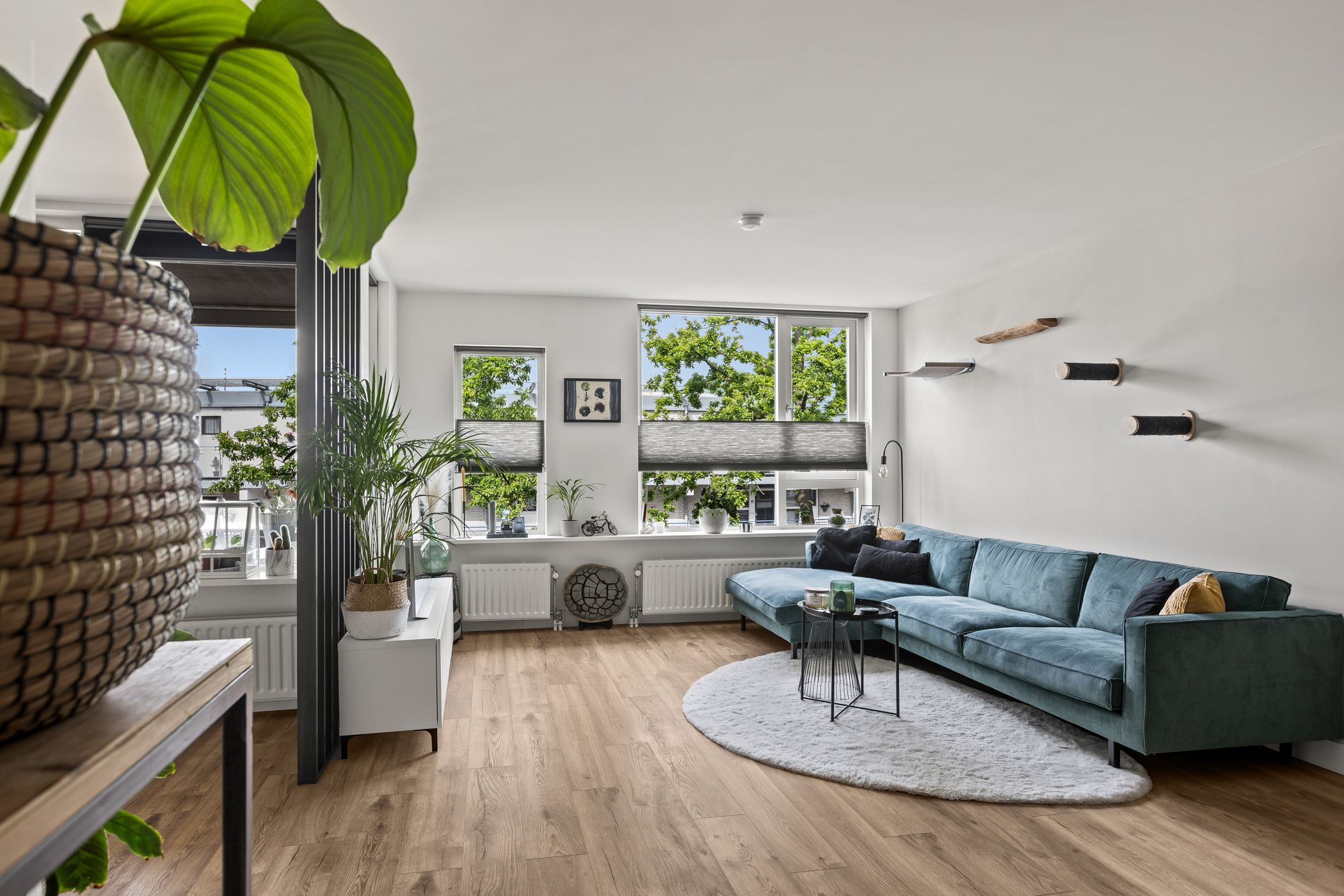 Photo 9 of Albert Schweitzersingel 34