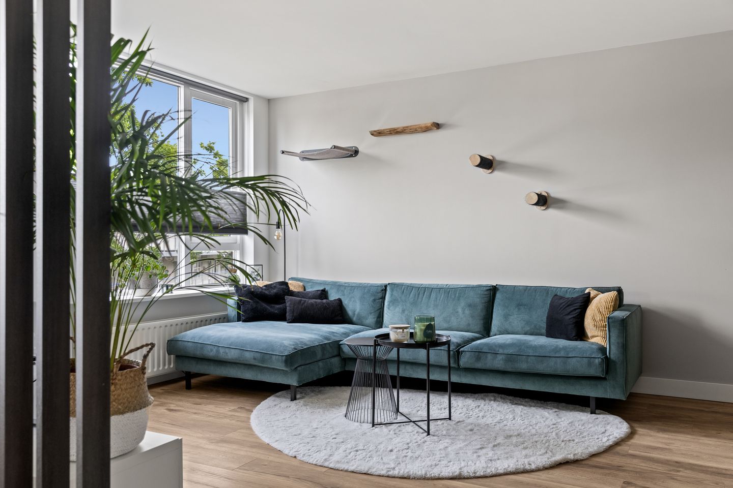 Photo 10 of Albert Schweitzersingel 34