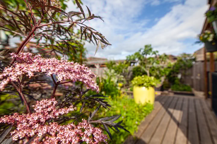 Foto 38 van Oosteinde 11-H136