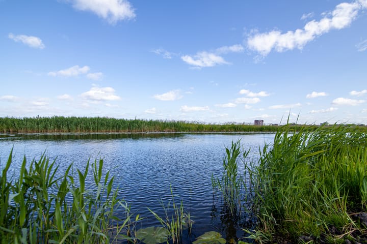 Foto 54 van Oosteinde 11-H136