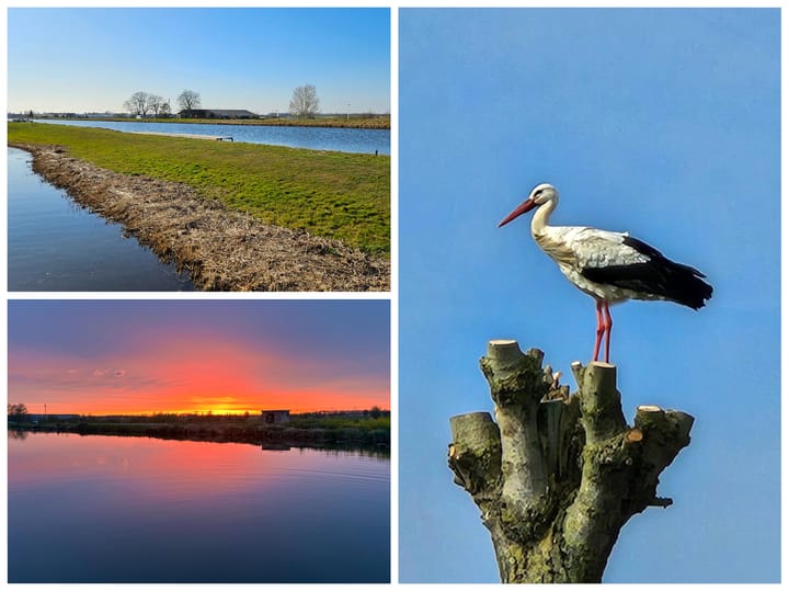 Foto 57 van Oosteinde 11-H136