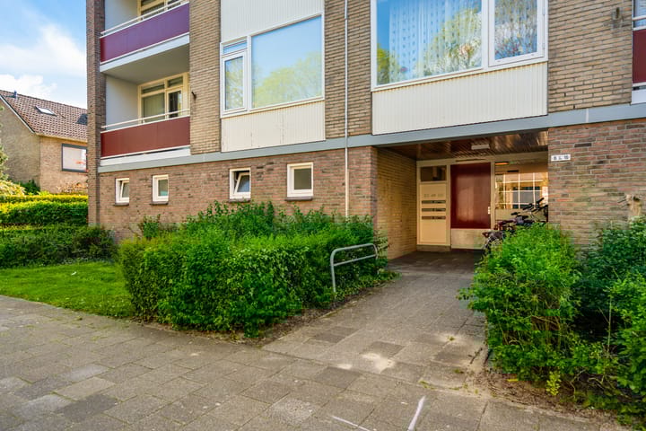 Foto 6 van Plutolaan 14