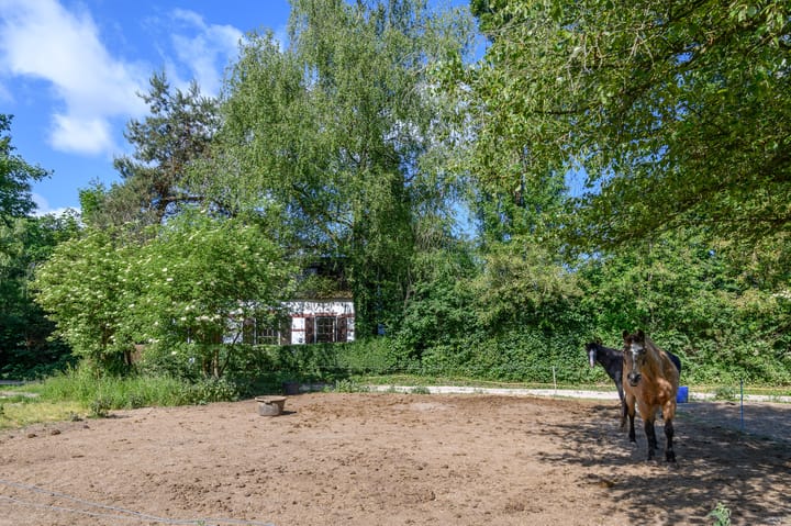 Foto 4 van Schatkuilsestraat 4