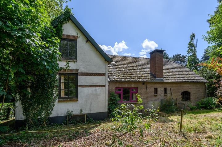 Foto 9 van Schatkuilsestraat 4