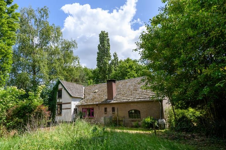 Foto 10 van Schatkuilsestraat 4