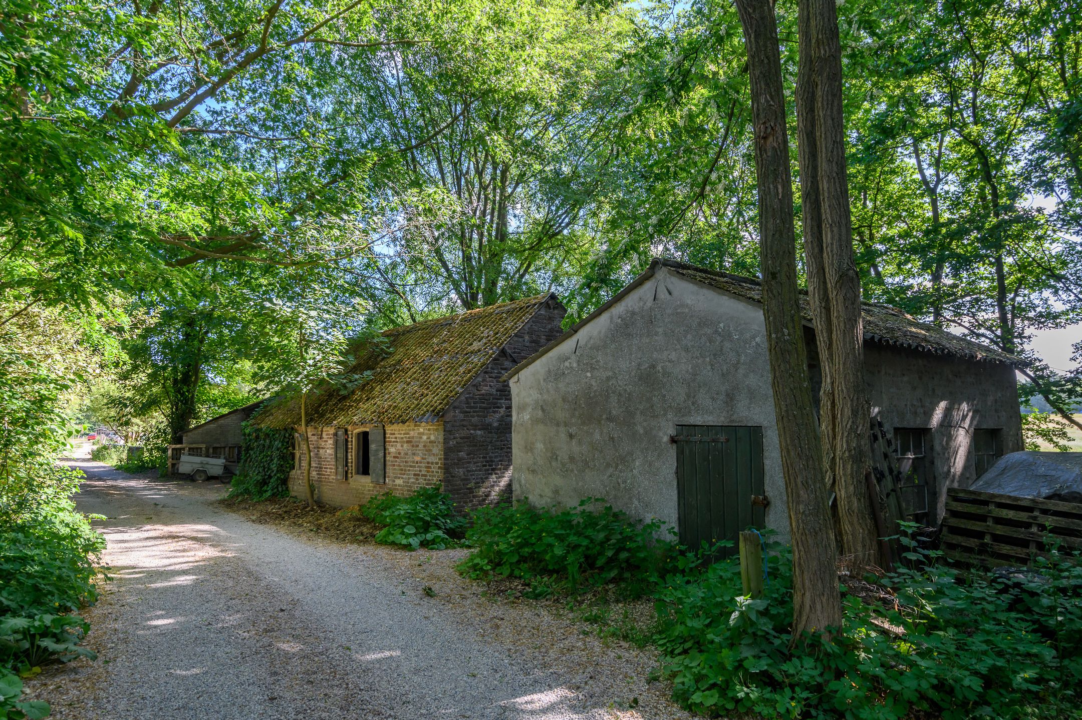 Foto 15 van Schatkuilsestraat 4