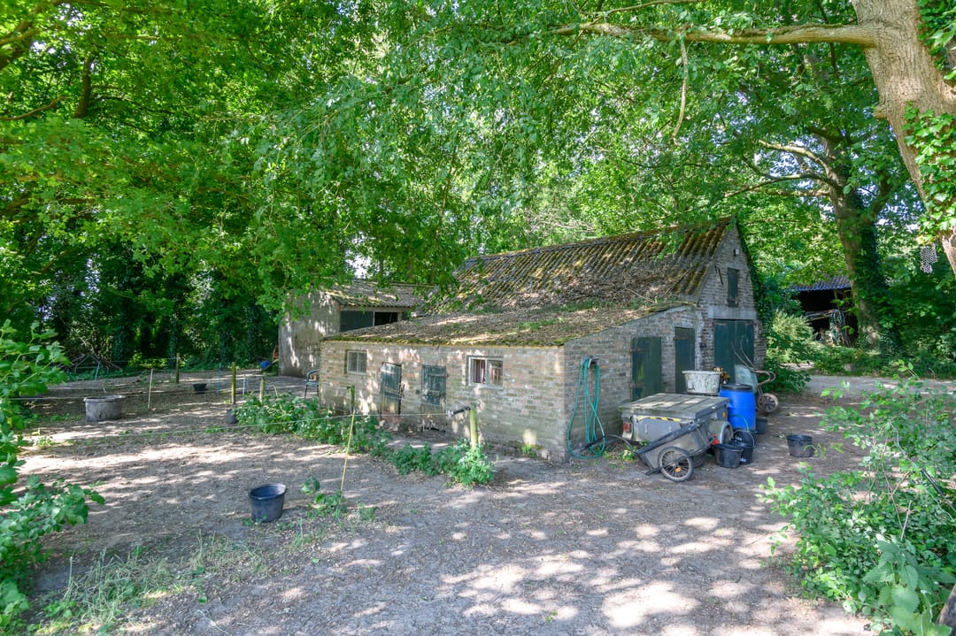 Foto 17 van Schatkuilsestraat 4