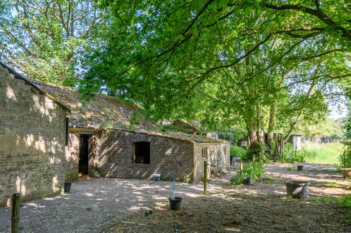 Foto 19 van Schatkuilsestraat 4