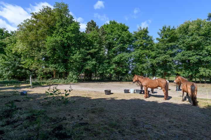 Foto 23 van Schatkuilsestraat 4