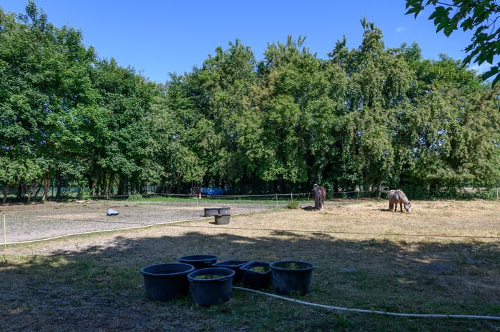 Foto 24 van Schatkuilsestraat 4