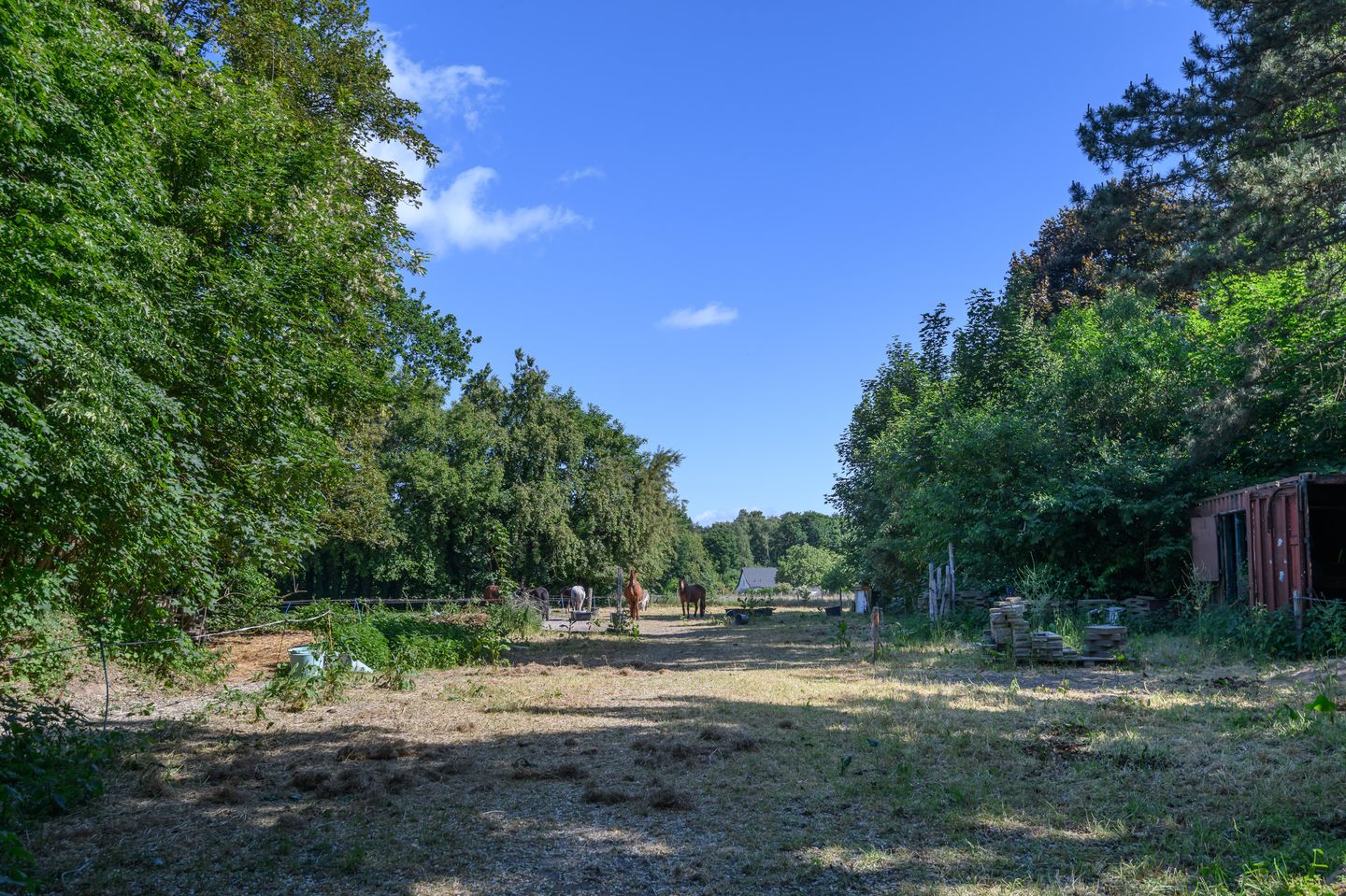 Foto 25 van Schatkuilsestraat 4