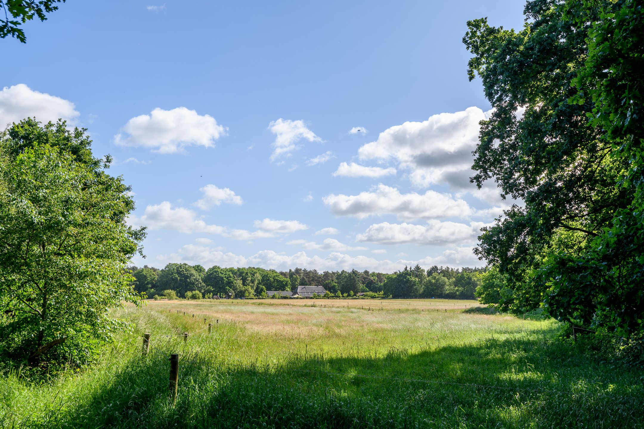 Foto 45 van Schatkuilsestraat 4