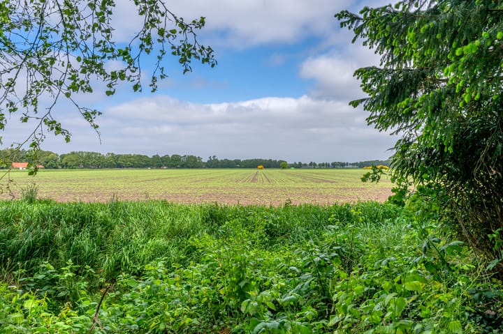 Photo 50 of Lageweg 42