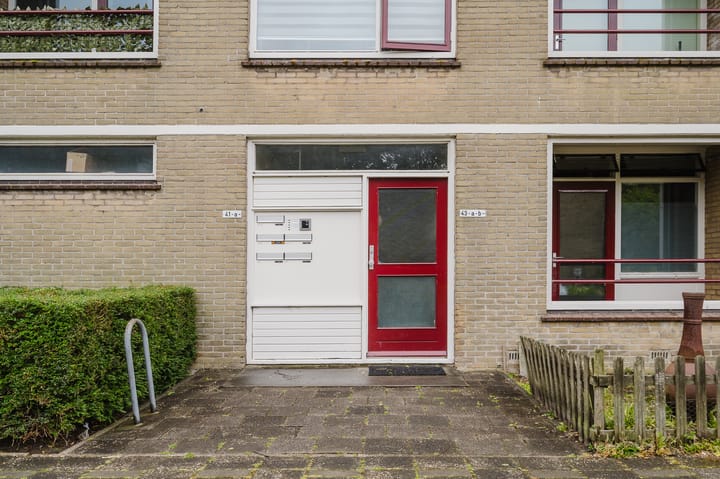 Foto 9 van Frans Halsstraat 41