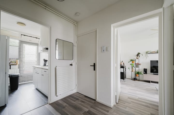 Foto 14 van Frans Halsstraat 41