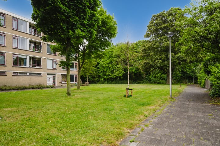 Foto 31 van Frans Halsstraat 41