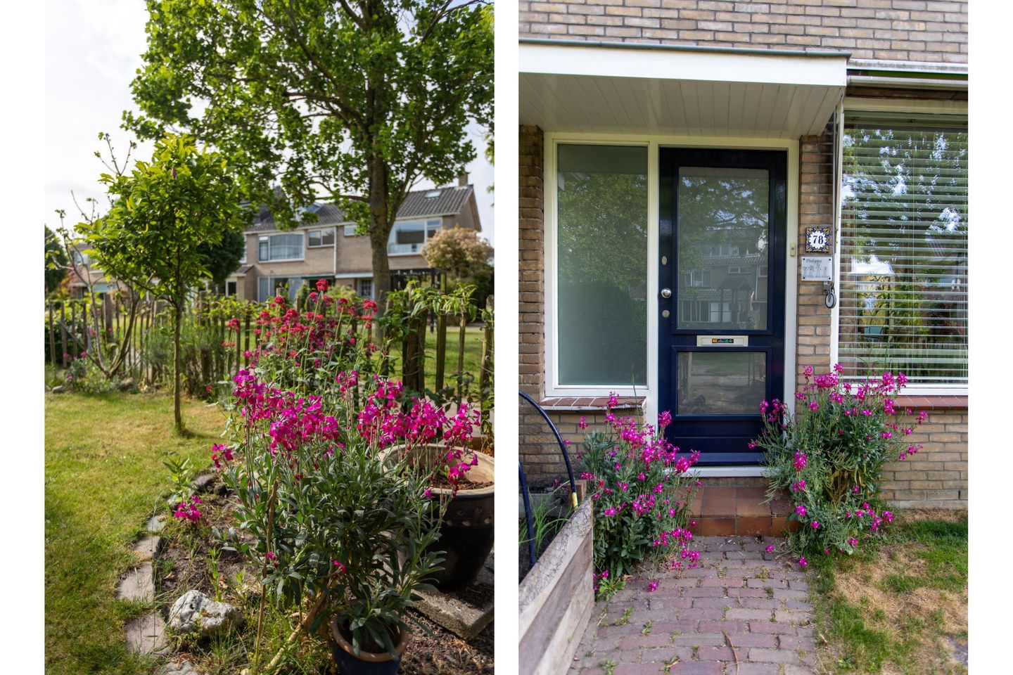 Foto 49 van Willem de Zwijgerlaan 78