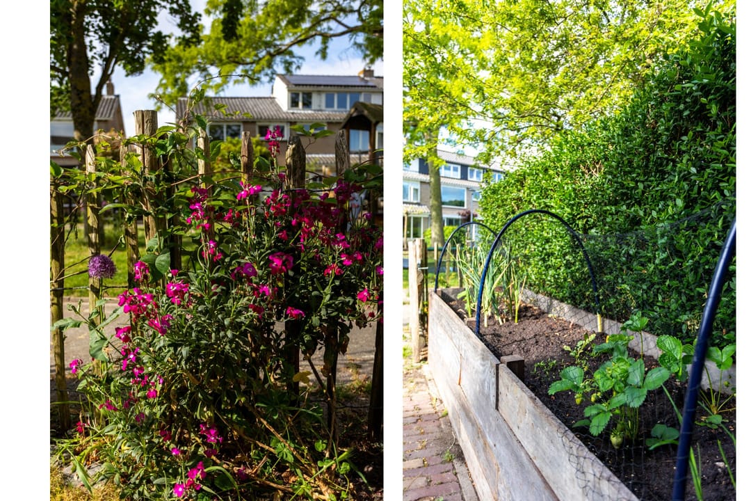 Foto 53 van Willem de Zwijgerlaan 78